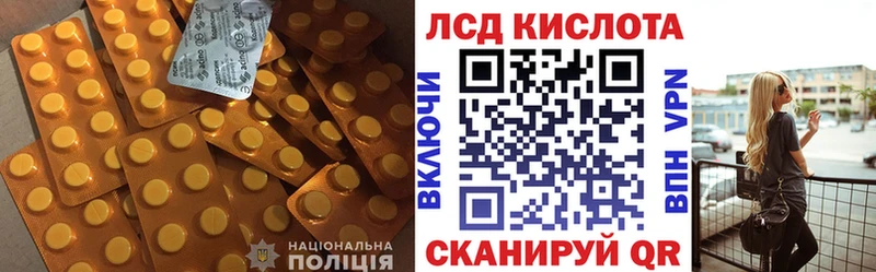 Лсд 25 экстази ecstasy  это какой сайт  Новоржев 