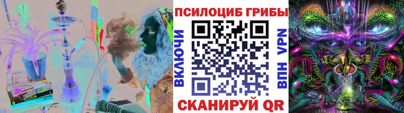 наркота  Новоржев  Псилоцибиновые грибы Psilocybe 
