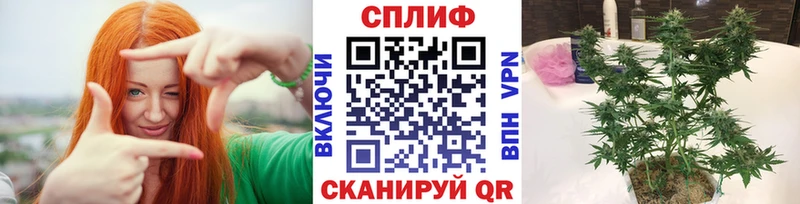 что такое   Новоржев  МЕГА ссылка  Шишки марихуана ГИДРОПОН 